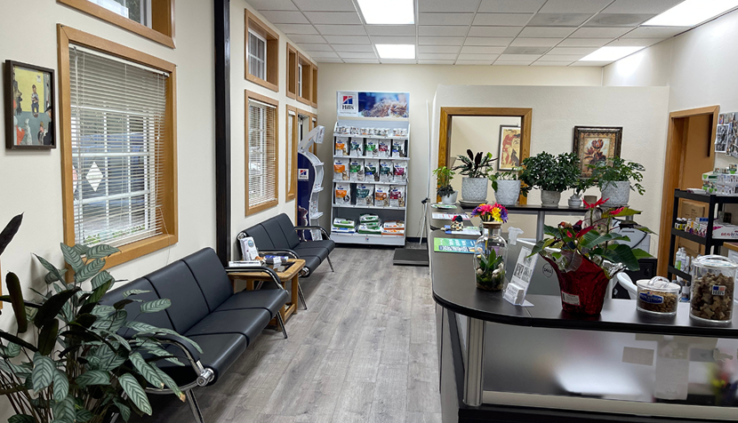 Reception Westgate Animal Hospital