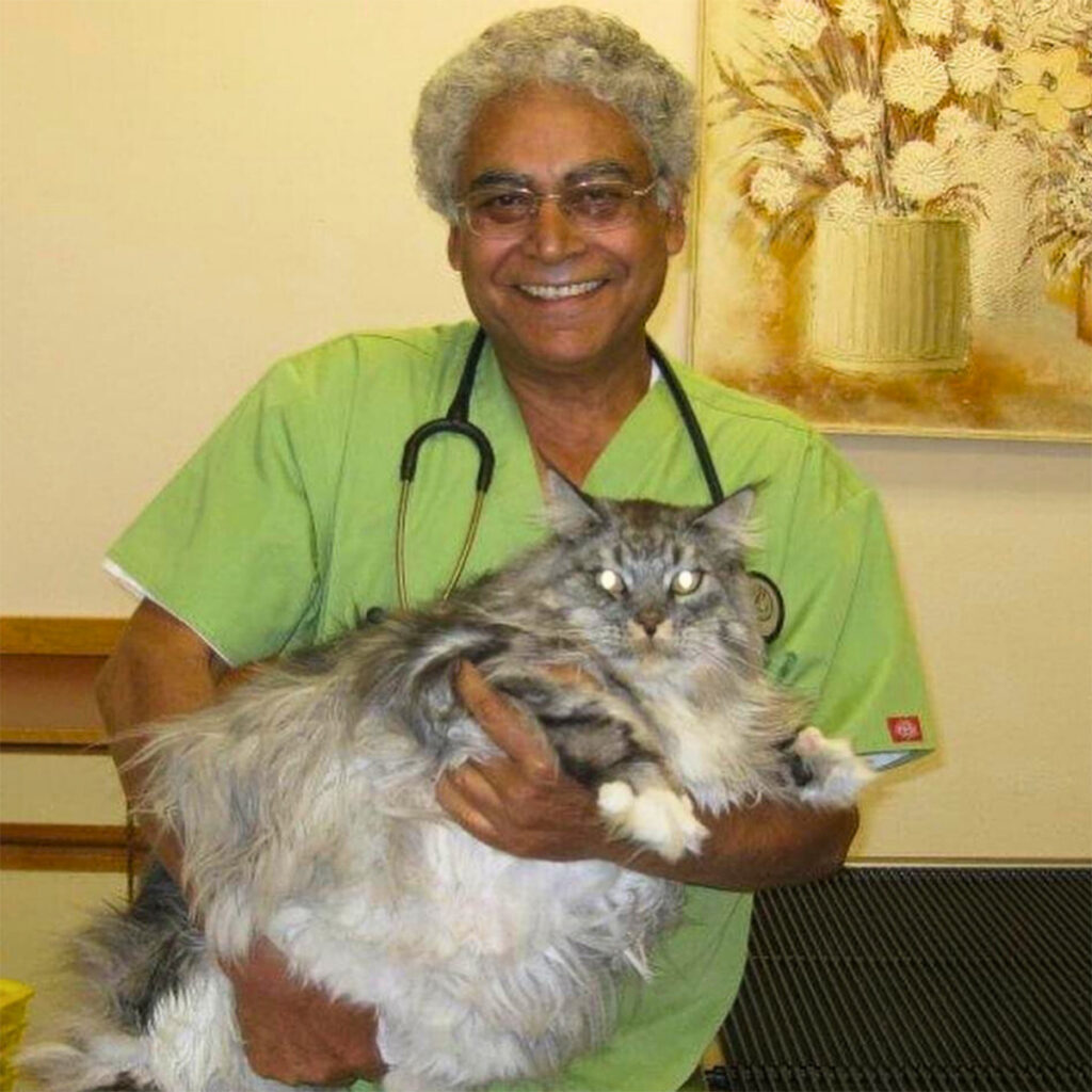 Dr. Kamal Walia with cat