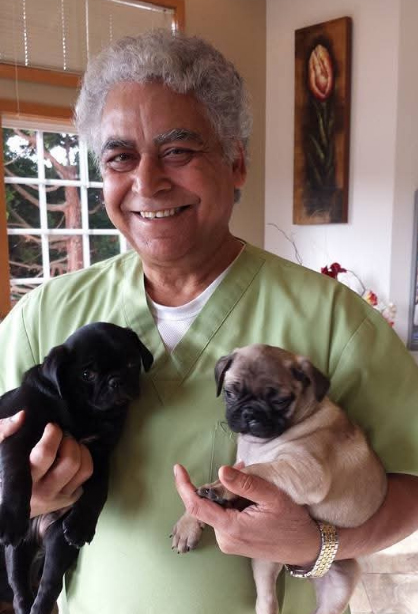 Dr. Kamal Walia with puppies