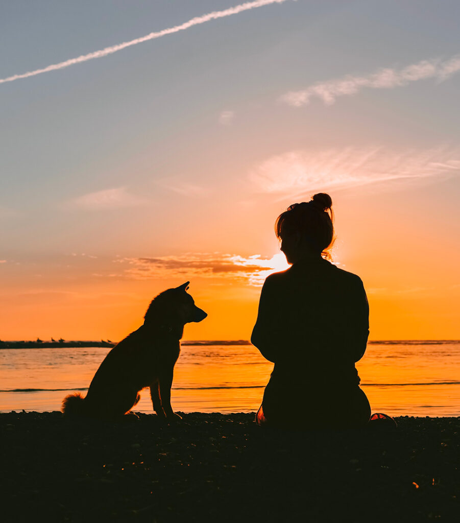 Silhouette of a girl and her dog
