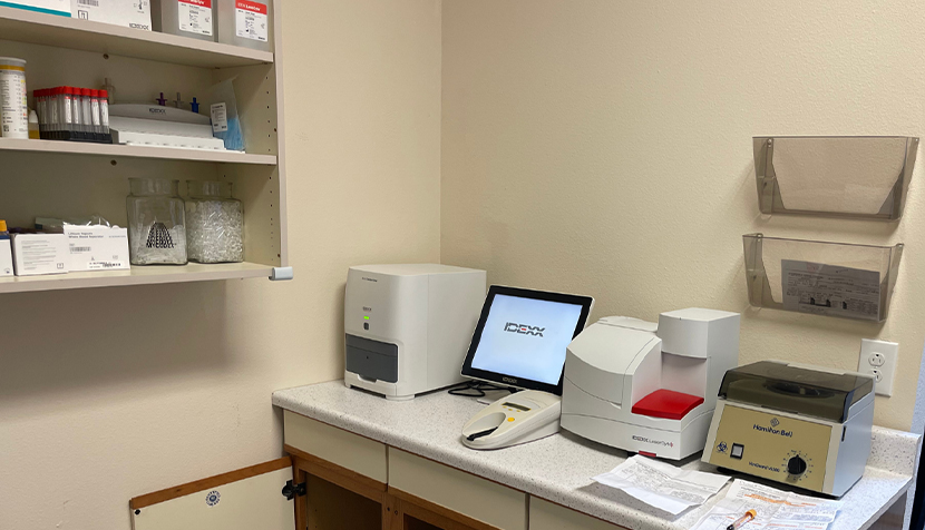 In-House Laboratory - Westgate Animal Hospital
