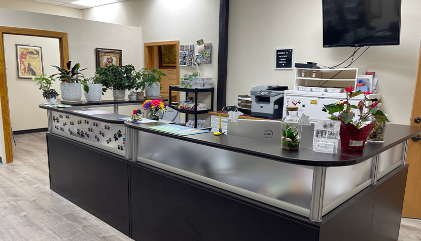Reception Westgate Animal Hospital